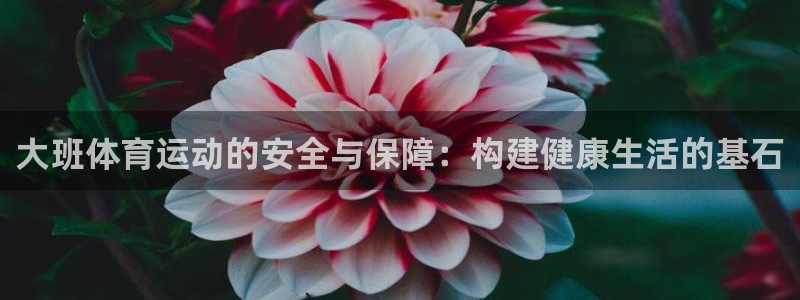 逐梦国际代理注册官网入口：大班体育运动的安全与保障：构建健康生活的基石