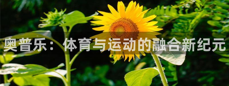 意昂4平台注册：奥普乐：体育与运动的融合新纪元