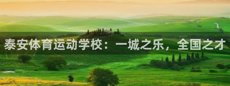 逐梦国际体育官网