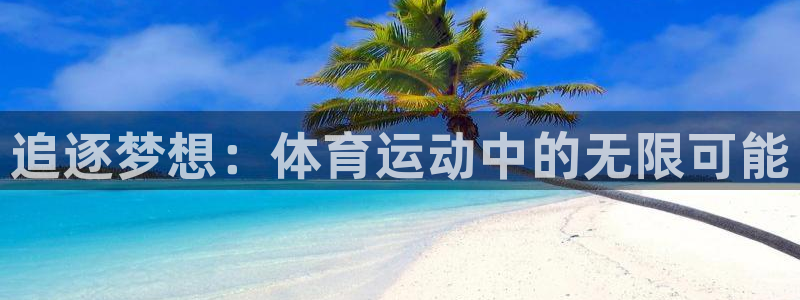 成都逐梦国际电子有限公司