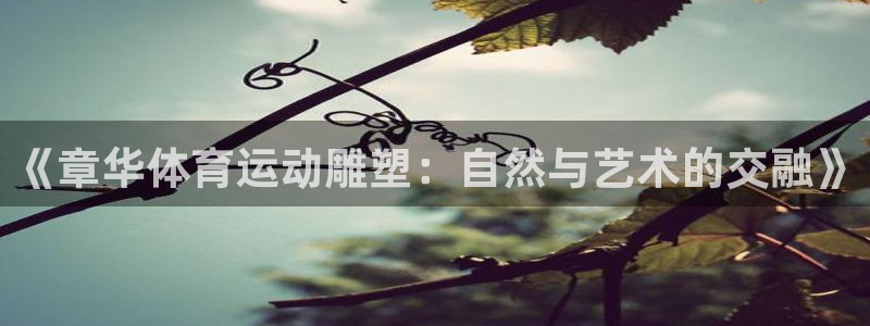 逐梦国际2体育登录入口：《章华体育运动雕塑：自然与艺术的交融》