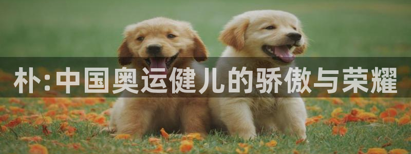 意昂包怎么样：朴:中国奥运健儿的骄傲与荣耀
