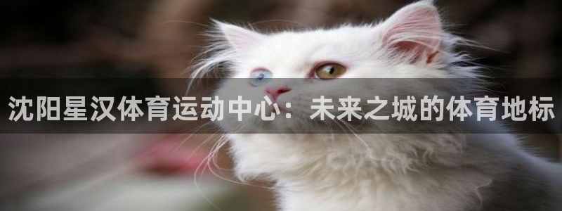 逐梦国际2登录入口：沈阳星汉体育运动中心：未来之城的体育地标