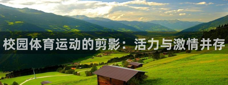 意昂4：校园体育运动的剪影：活力与激情并存