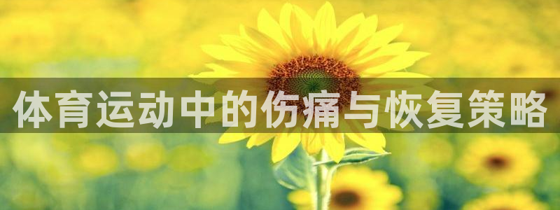 逐梦国际4平台：体育运动中的伤痛与恢复策略