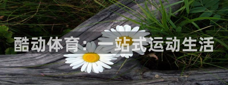 逐梦国际5注册：酷动体育：一站式运动生活
