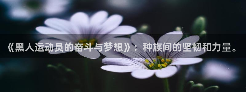 意昂3官网登录：《黑人运动员的奋斗与梦想》：种族间的坚韧和力量。