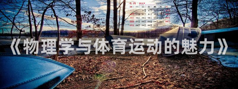 逐梦国际体育注册：《物理学与体育运动的魅力》