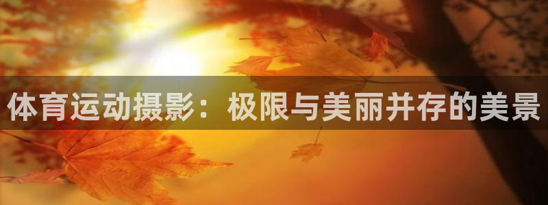 逐梦国际2体育登录入口：体育运动摄影：极限与美丽并存的美景