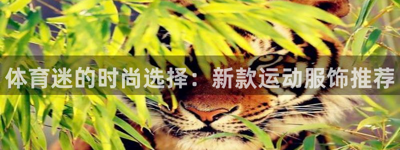 逐梦国际体育平台开号链接：体育迷的时尚选择：新款运动服饰推荐