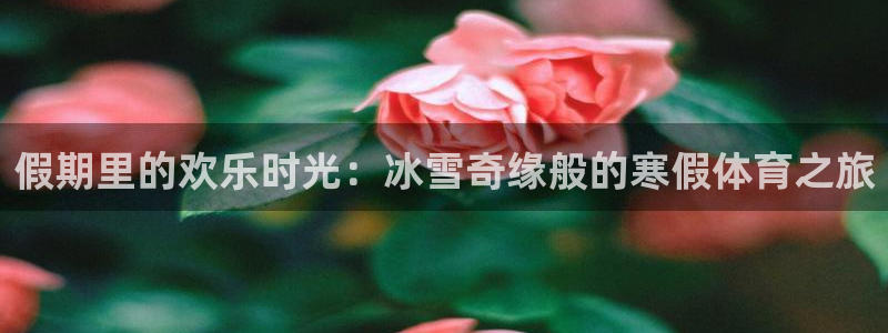 逐梦国际f凯捷平台在线注册：假期里的欢乐时光：冰雪奇缘般的寒假体育之旅
