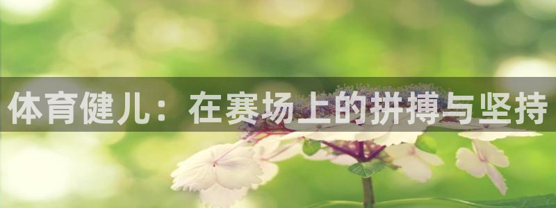 意昂5平台：体育健儿：在赛场上的拼搏与坚持