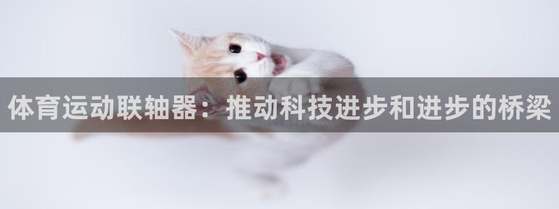 意昂包怎么样：体育运动联轴器：推动科技进步和进步的桥梁