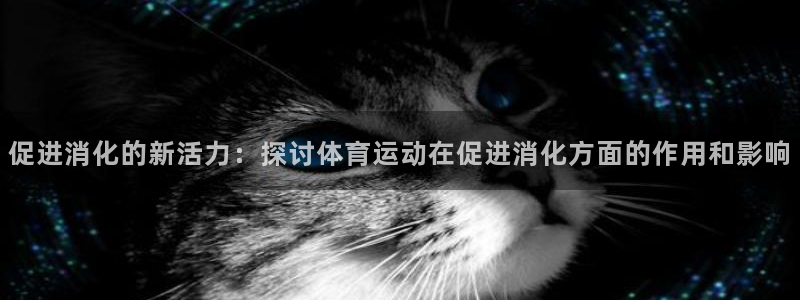 逐梦国际体育1招商：促进消化的新活力：探讨体育运动在促进消化方面的作用和影响