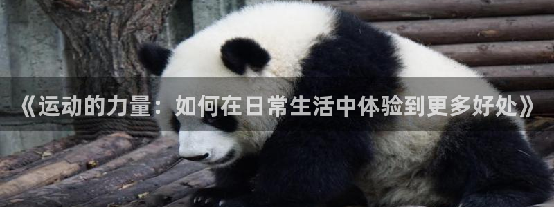 意昂代理注册官网入口：《运动的力量：如何在日常生活中体验到更多好处》