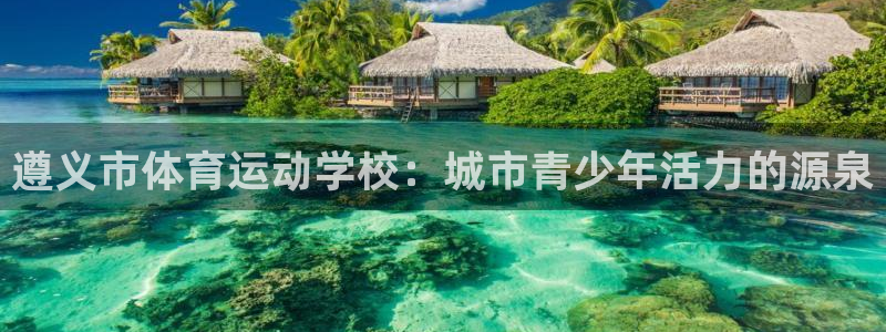 逐梦国际体育游戏：遵义市体育运动学校：城市青少年活力的源泉