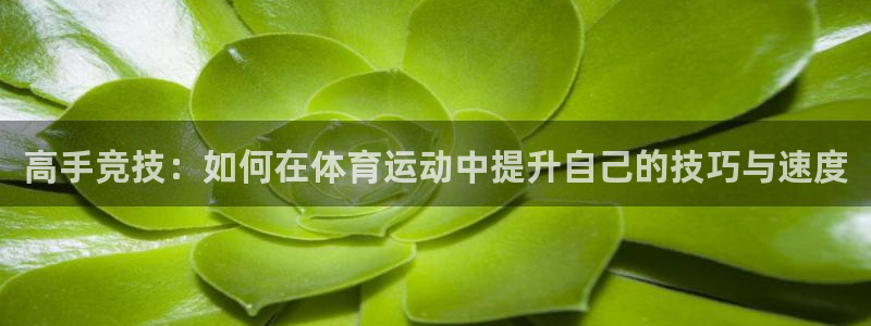 逐梦国际4注册：高手竞技：如何在体育运动中提升自己的技巧与速度