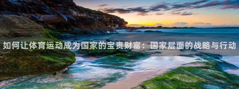 逐梦国际f凯捷注册：如何让体育运动成为国家的宝贵财富：国家层面的战略与行动
