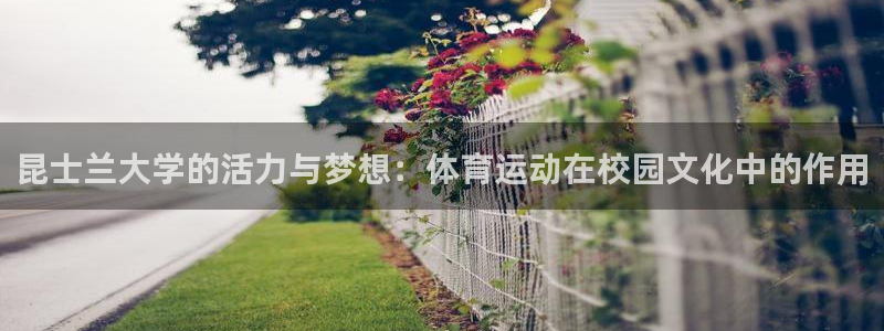 佛山市南海意昂机电仪器有限公司：昆士兰大学的活力与梦想：体育运动在校园文化中的作