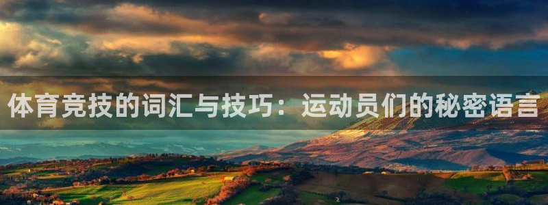 逐梦国际3登陆：体育竞技的词汇与技巧：运动员们的秘密语言