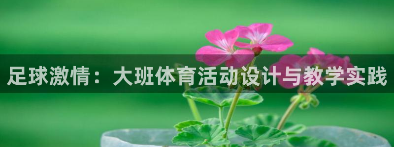 逐梦国际体育3：足球激情：大班体育活动设计与教学实践