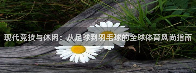 逐梦国际官网入口：现代竞技与休闲：从足球到羽毛球的全球体育风尚指南