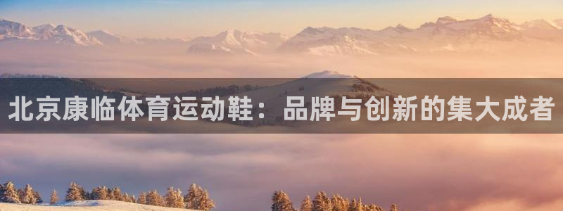 逐梦国际2登录地址：北京康临体育运动鞋：品牌与创新的集大成者