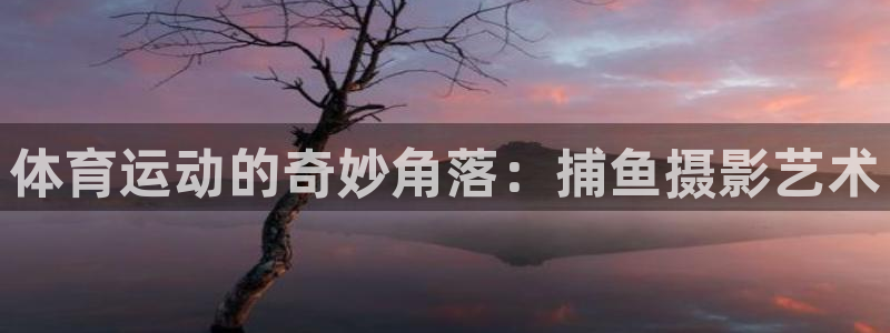 逐梦国际凯捷平台：体育运动的奇妙角落：捕鱼摄影艺术