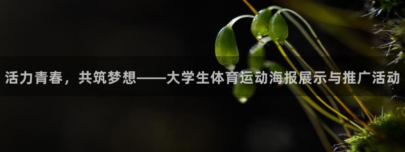 逐梦国际凯捷注册：活力青春，共筑梦想——大学生体育运动海报展示与推广活动