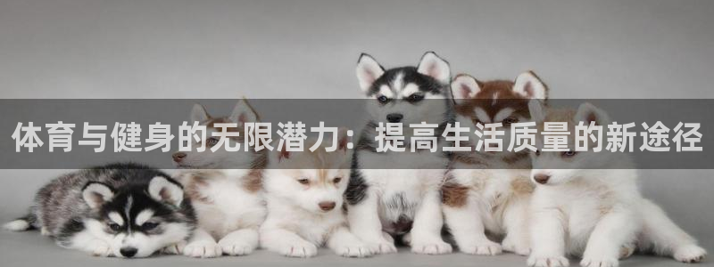 逐梦国际体育和杏耀是哪个公司的：体育与健身的无限潜力：提高生活质量的新途径
