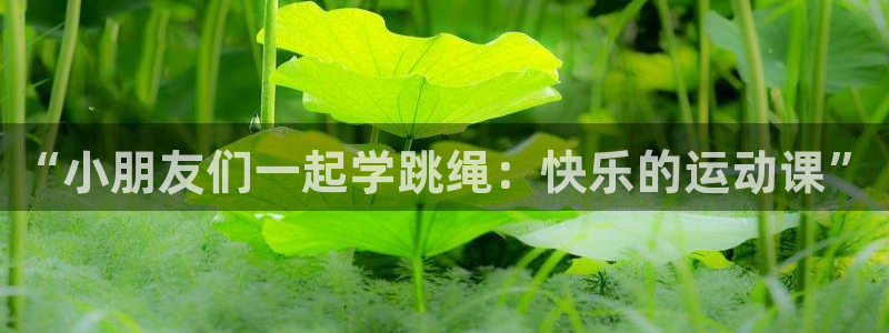 逐梦国际体育f开户：“小朋友们一起学跳绳：快乐的运动课”