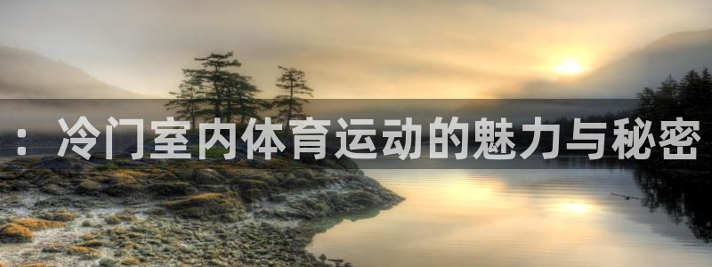 意昂5平台：：冷门室内体育运动的魅力与秘密