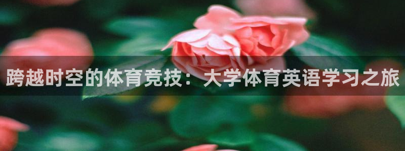 逐梦国际体育免费注册入口：跨越时空的体育竞技：大学体育英语学习之旅