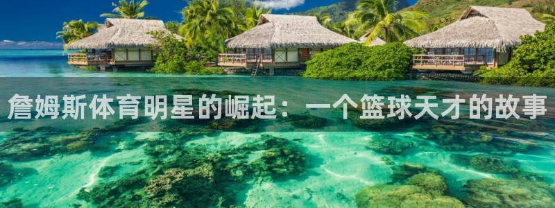 逐梦国际体育和杏耀是哪个公司的：詹姆斯体育明星的崛起：一个篮球天才的故事