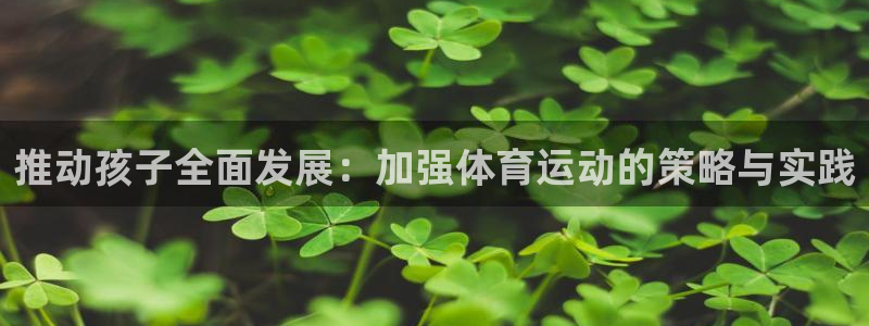 成都逐梦国际电子有限公司：推动孩子全面发展：加强体育运动的策略与实践