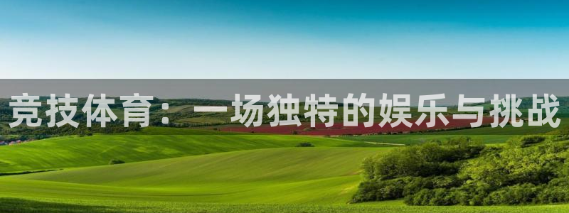 逐梦国际登录：竞技体育：一场独特的娱乐与挑战