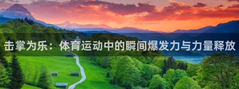 逐梦国际体育3：击掌为乐：体育运动中的瞬间爆发力与力量释放