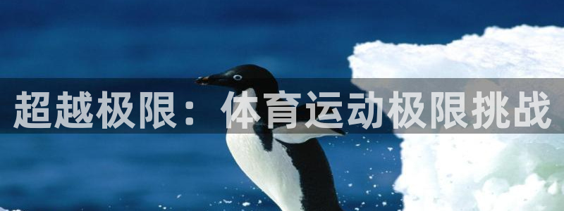 逐梦国际2官网：超越极限：体育运动极限挑战